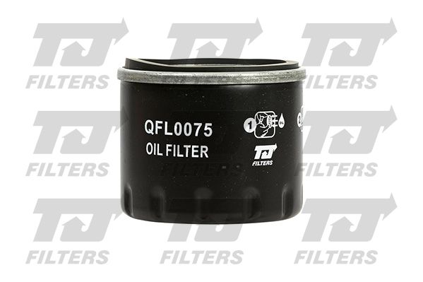 QUINTON HAZELL alyvos filtras QFL0075